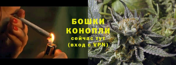 дурь Карпинск