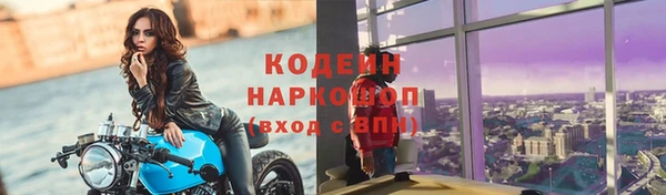 дурь Карпинск