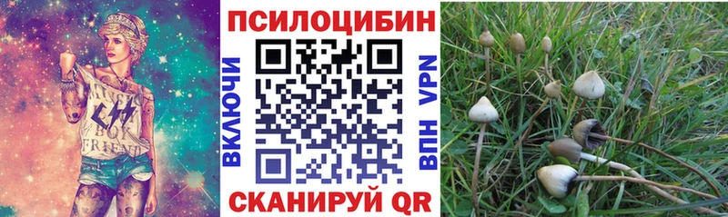 Псилоцибиновые грибы GOLDEN TEACHER  Купить  Нефтекумск 